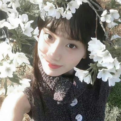 阿罗有枝彩色笔