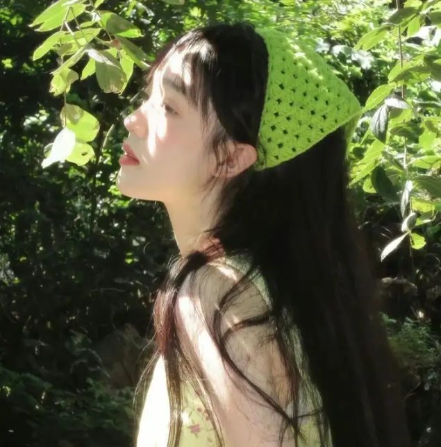 东非探险记
